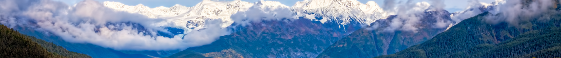 Chugach Arts Council